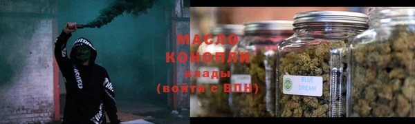 тгк Сатка