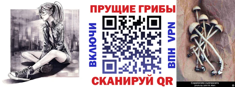 Псилоцибиновые грибы ЛСД  Балтийск 