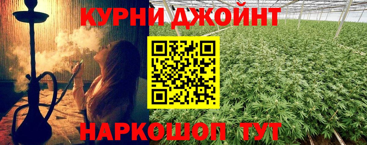 Бошки марихуана VHQ Балтийск
